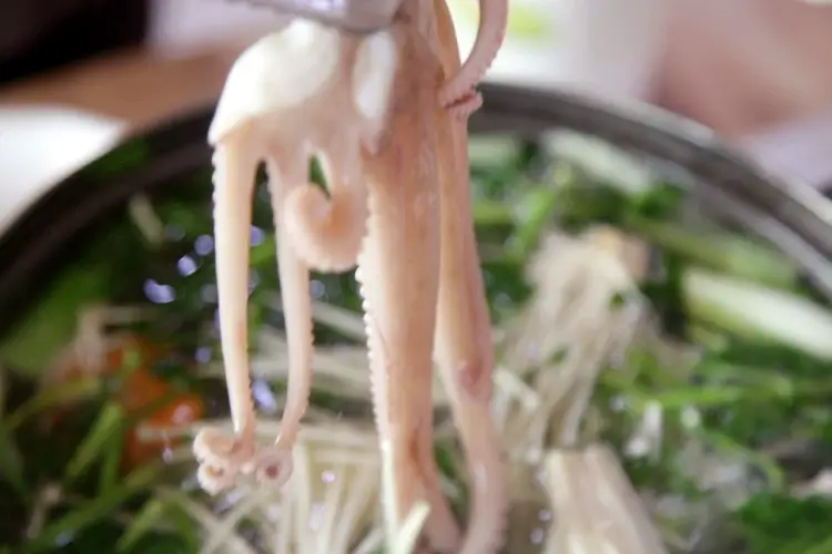 국내산 낙지로 만든 낙지볶음 & 낙지 물회 맛있는 곳 추천