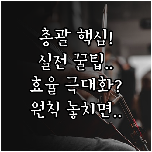 총괄평가의 현장 적용을 극대화하는 실..