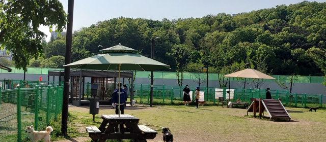 동탄여울공원 반려가족놀이터