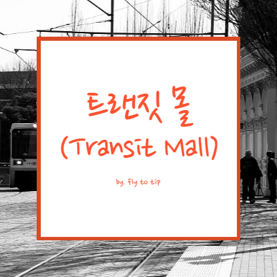 트랜짓 몰(Transit Mall) 또는 대중교통전용지구