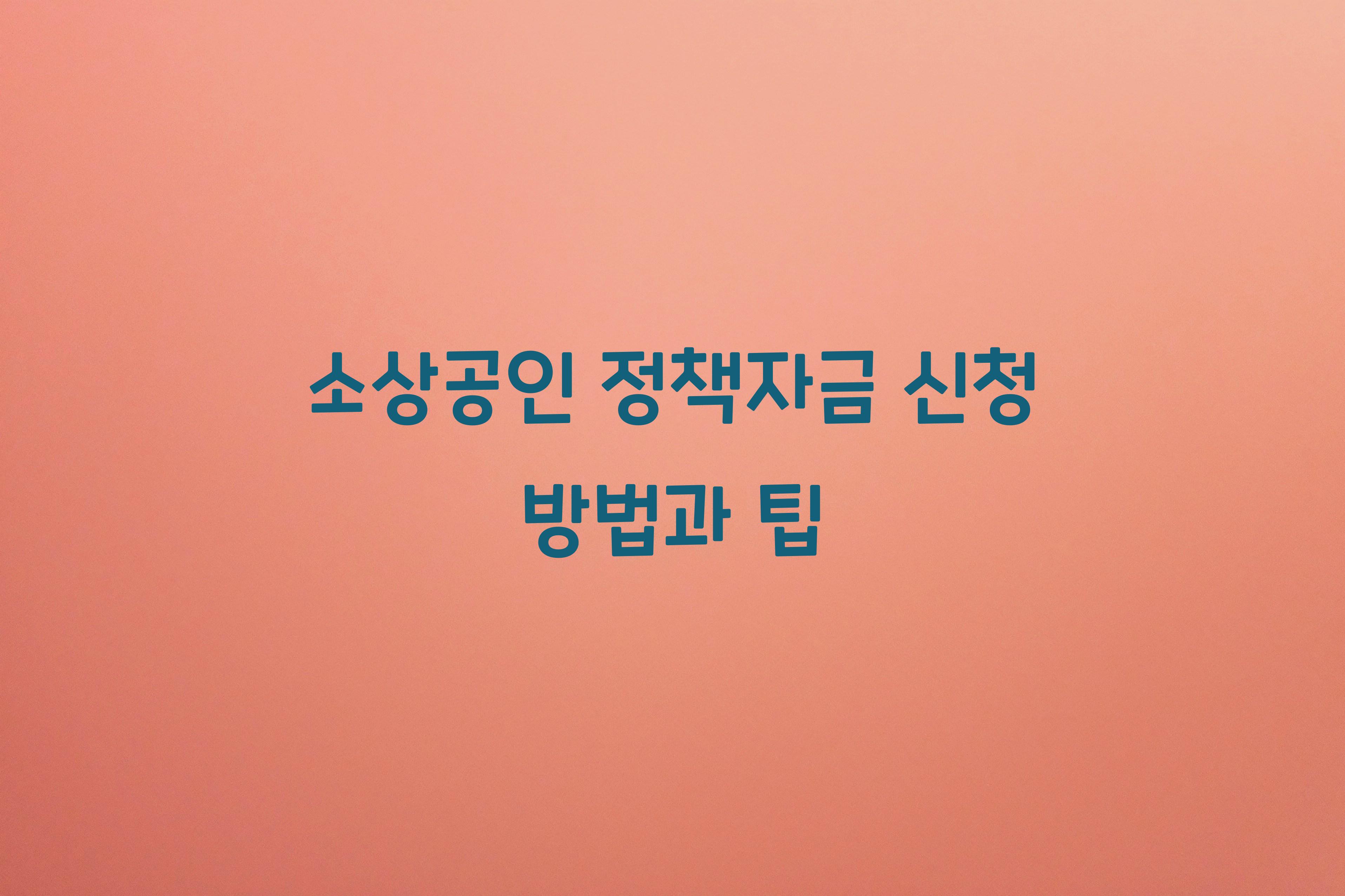 소상공인 정책자금