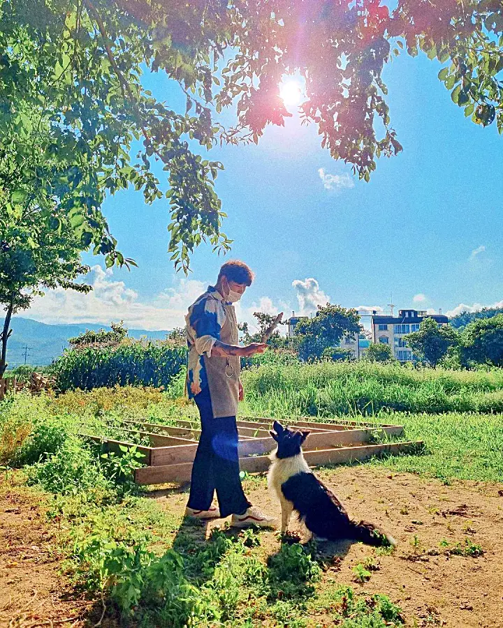 생방송오늘저녁 양양 인구해수욕장 죽도해변 맛있는 브런치 디저트 카페 추천 메밀 크림 라떼와 바질크림 메밀뇨끼 맛집
