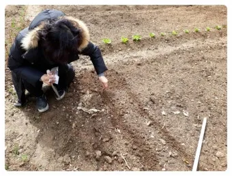 씨앗 저장법 건조 저온 밀봉 발아율 유지 교체 주기_21