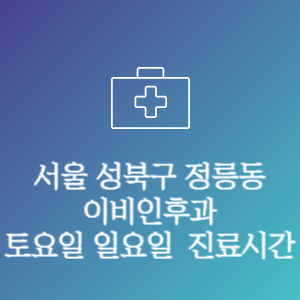 서울 성북구 정릉동 이비인후과 주말 토요일 일요일 문여는 병원 진료시간
