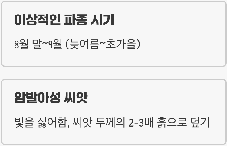 가을에 시작하는 봄의 약속, 파종의 지혜