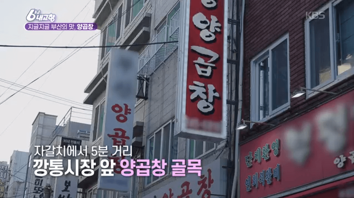 [6시내고향]부산 양곱창 &amp;#39;백화양곱창&amp;#39;&amp;#39;대정양곱창&amp;#39; 예약 위치 연락처 정보