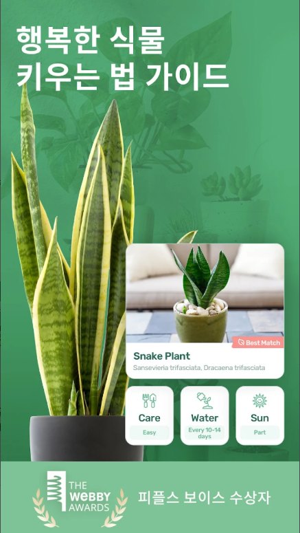 식물이름 찾기 어플, 앱 설치하고 사용하기