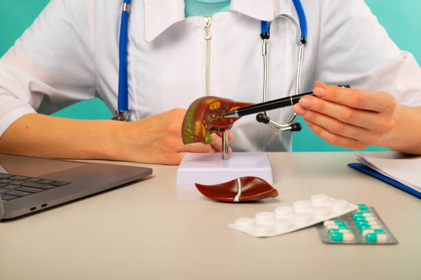 간 수치가 낮을 때 의미