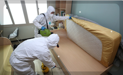 대구 계명대 기숙사 빈대 출몰