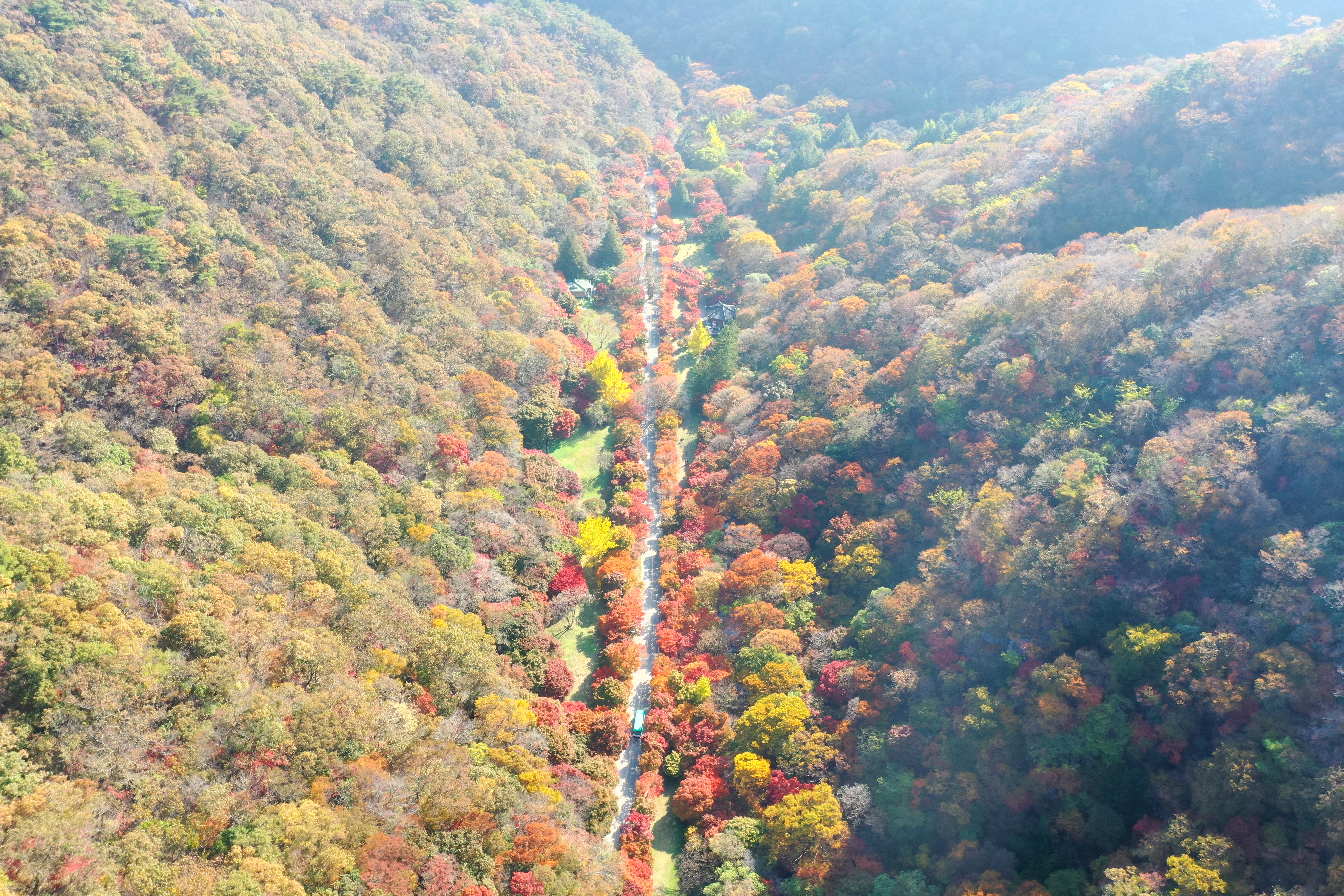내장산 단풍 절경