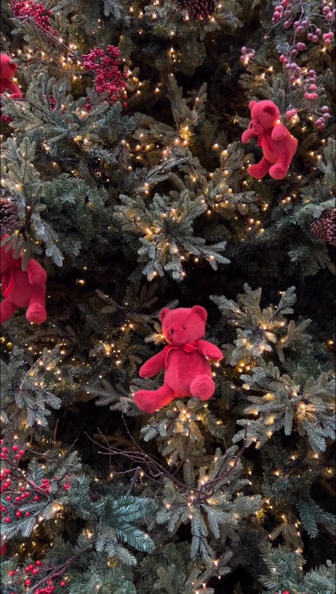 사운즈 포레스트의 크리스마스