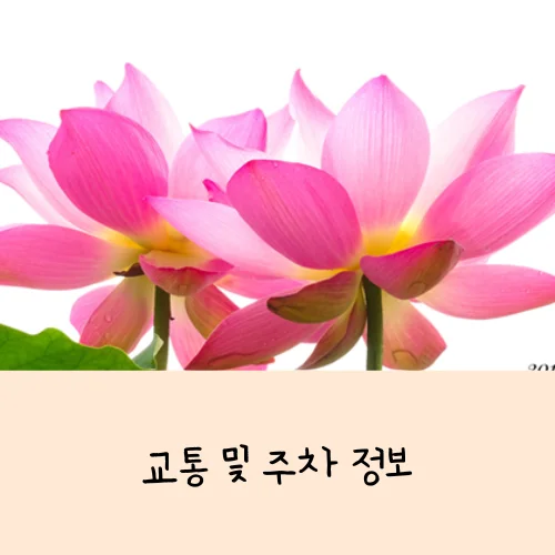 부여서동연꽃축제 완전 정리