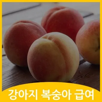 강아지 천도복숭아 먹어도 될까 안전한 급여 방법_13