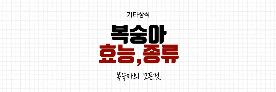 복숭아-효능-종류