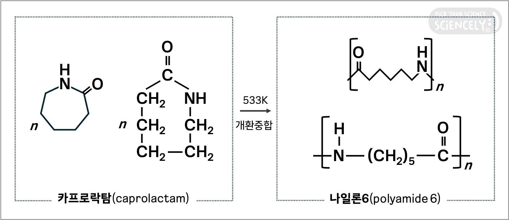 카프로락탐 고리형 단량체를 개환중합하여 아미드 결합으로 이어진 나일론6 생성