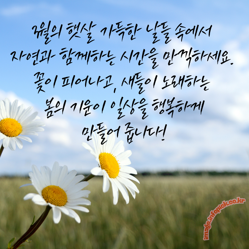 3월 인사말 문구 이미지 모음집3월 인사말 문구 이미지 모음집