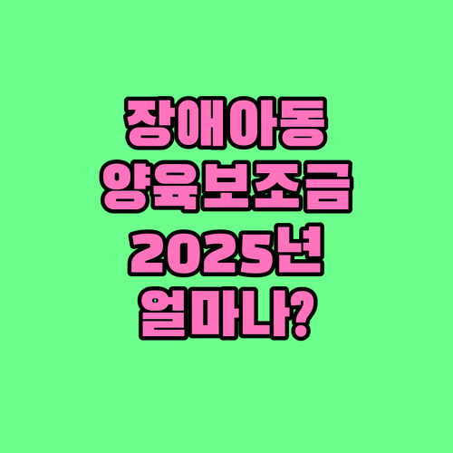 2025년 바뀌는 장애입양아동 양육보..