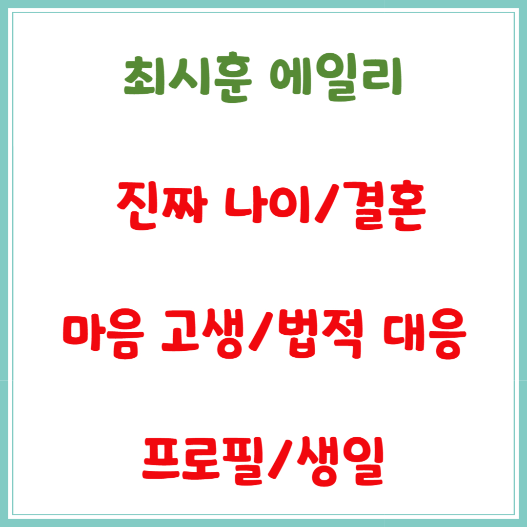 최시훈 에일리 진짜 나이/결혼/마음 고생/법적 대응/프로필/생일