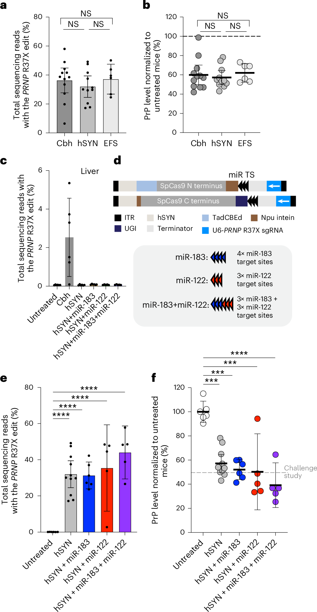 특정 조직에 초점 맞춘 유전자 편집의 개선