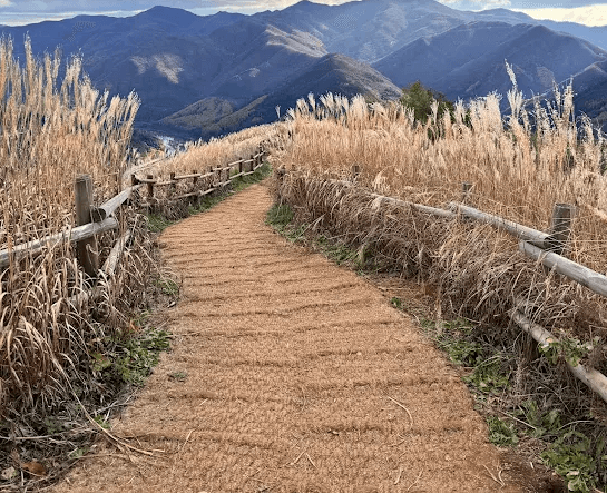 민둥산 억새축제 완벽 등산코스