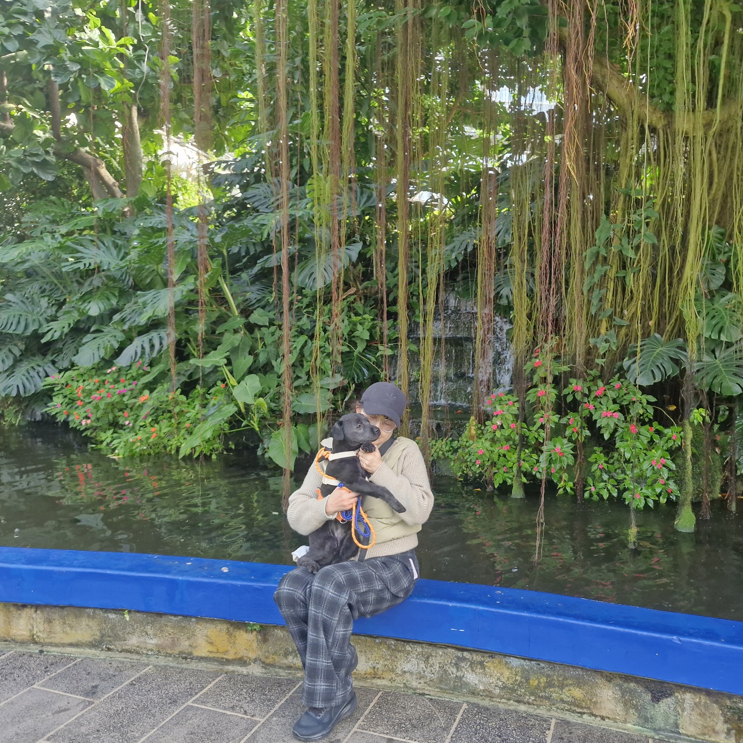 감정을 다스리는데도 왜 체력이 필요할가? (멘탈관리, 체력, 감정조절)