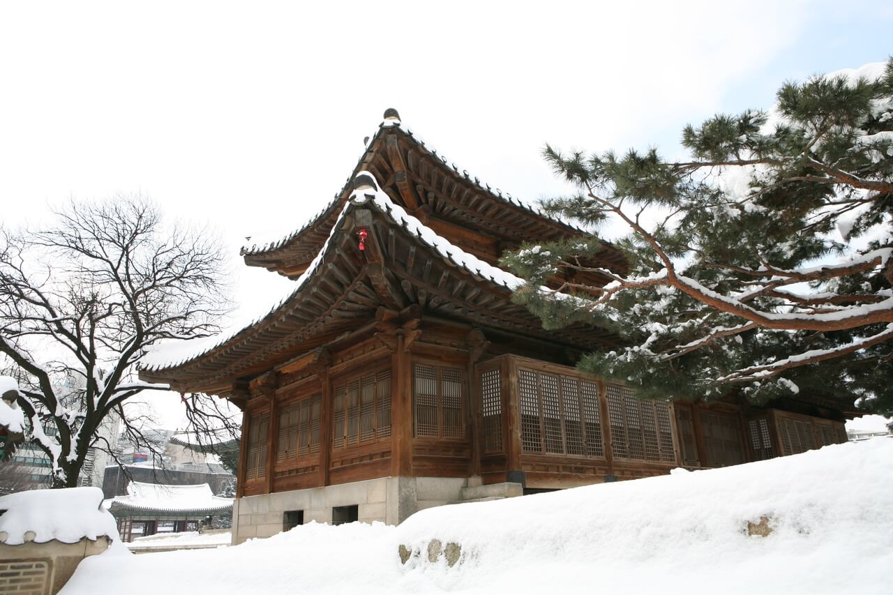 겨울 여행지 추천 덕수궁