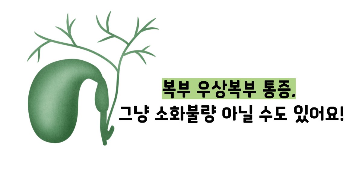 담낭암 초기증상