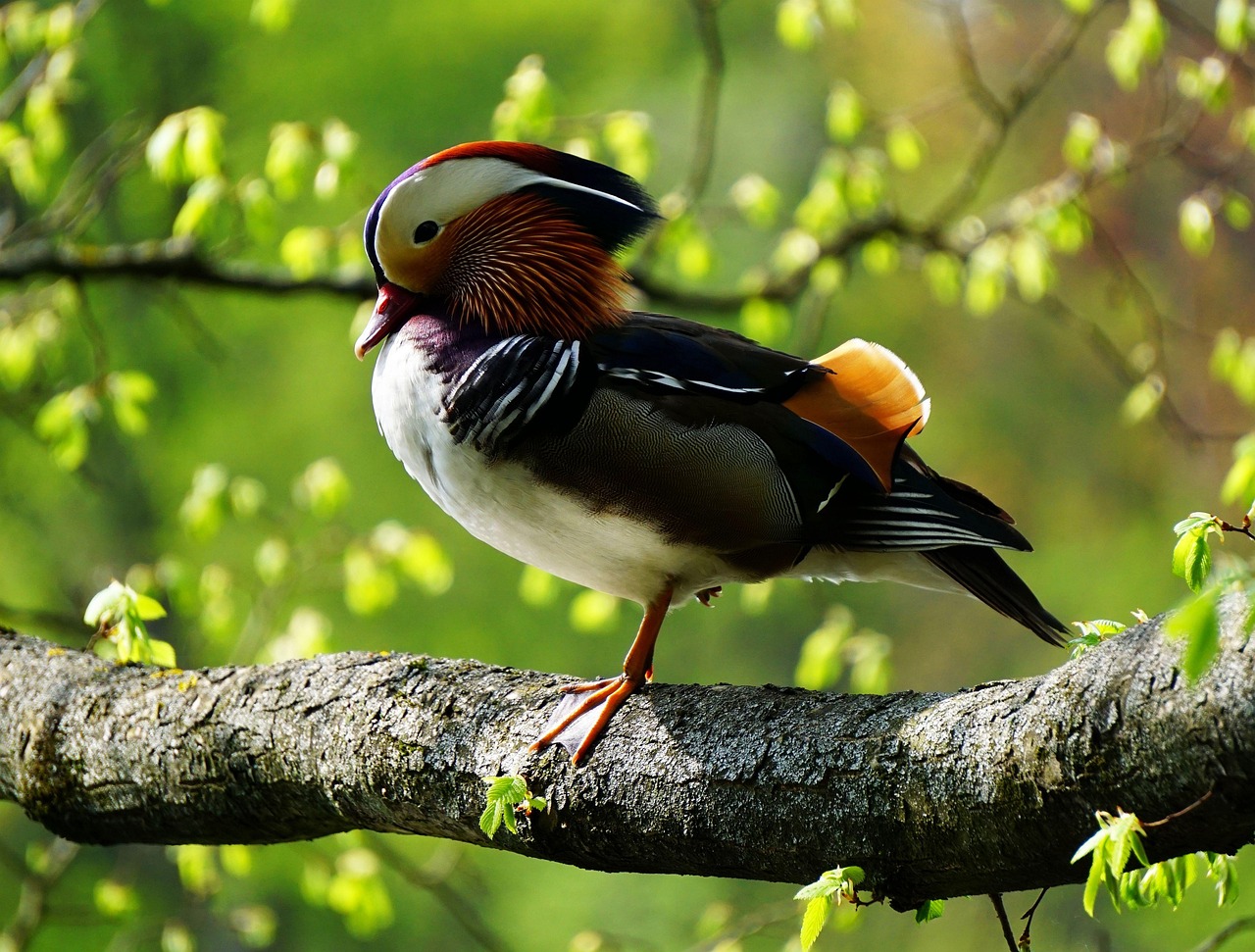 2025 실수령액 계산기