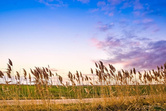 전국 농캉스 추천 지역 및 예약 방법