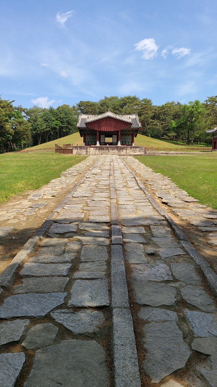 동구릉숲길개방