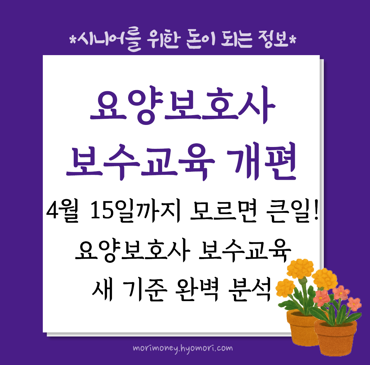 4월 15일까지 모르면 큰일! 요양보호사 보수교육 새 기준 완벽 분석