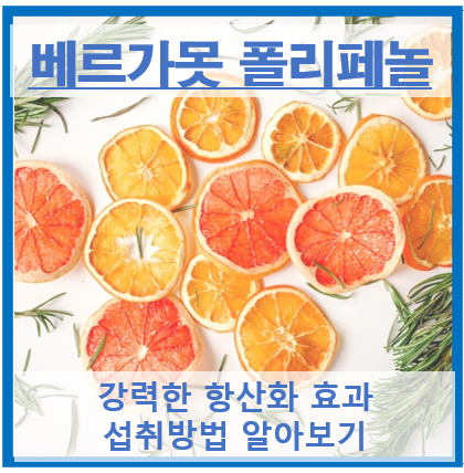 베르가못 폴리페놀 썸네일