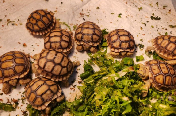 사천 아쿠아리움