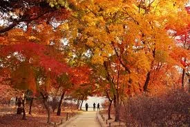 창덕궁 후원 예약