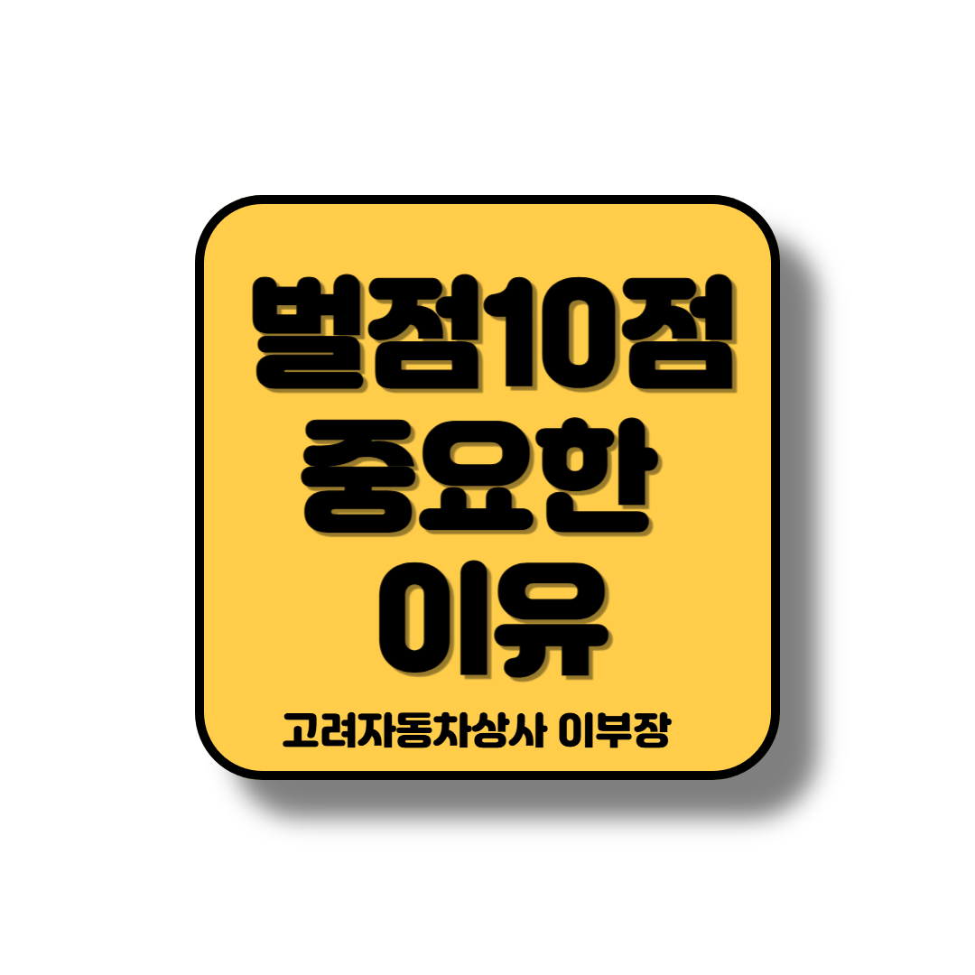 벌점10점으로 면허정지 될 수도 안 될 수도 있다