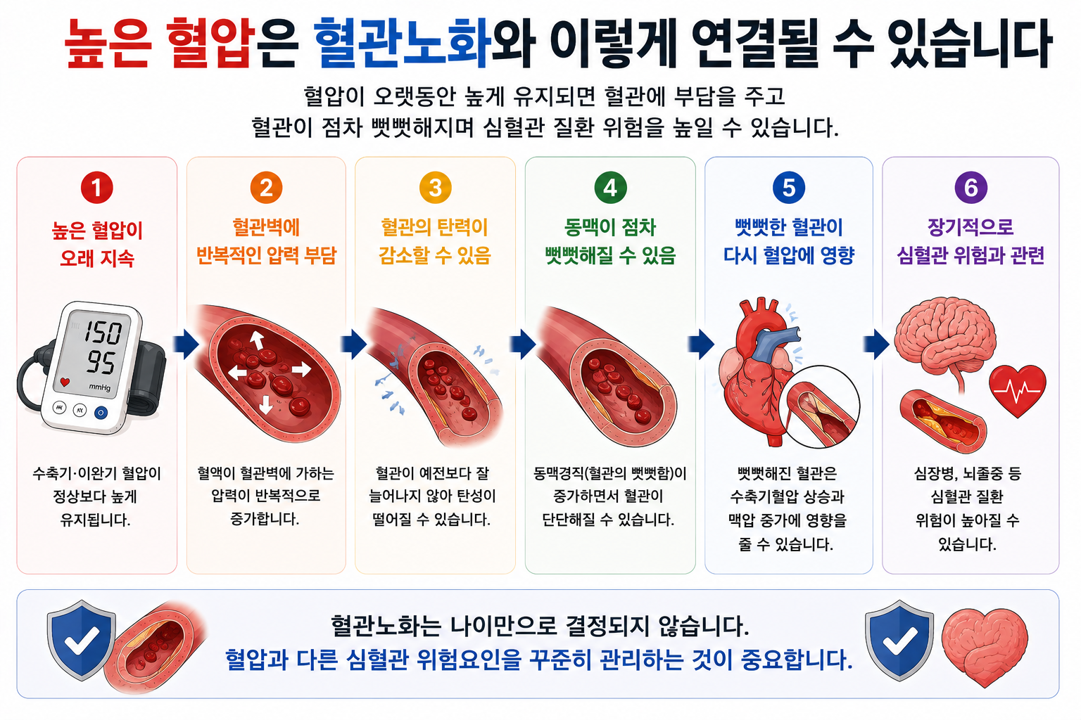 높은 혈압과 동맥의 뻣뻣함이 관련되는 과정 설명