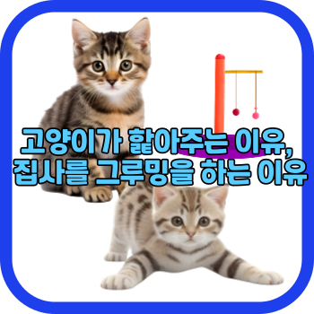 고양이가 핥아주는 이유, 집사를 그루밍을 하는 이유