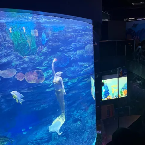 부산 놀거리 