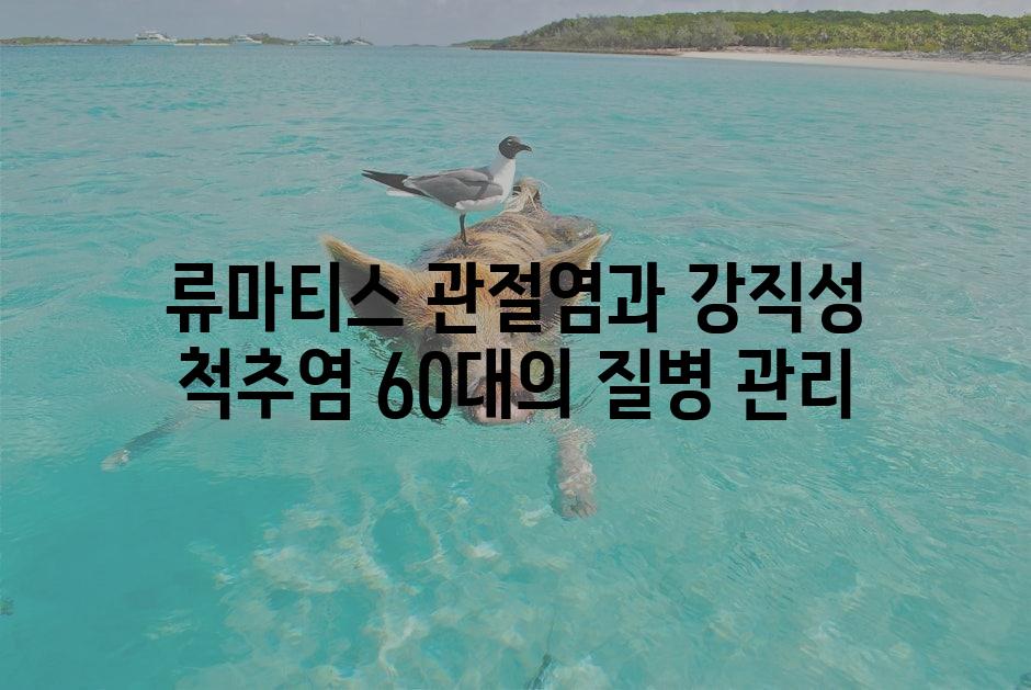 샘플 (1)