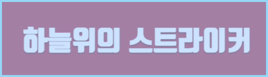 드론-스트라이커