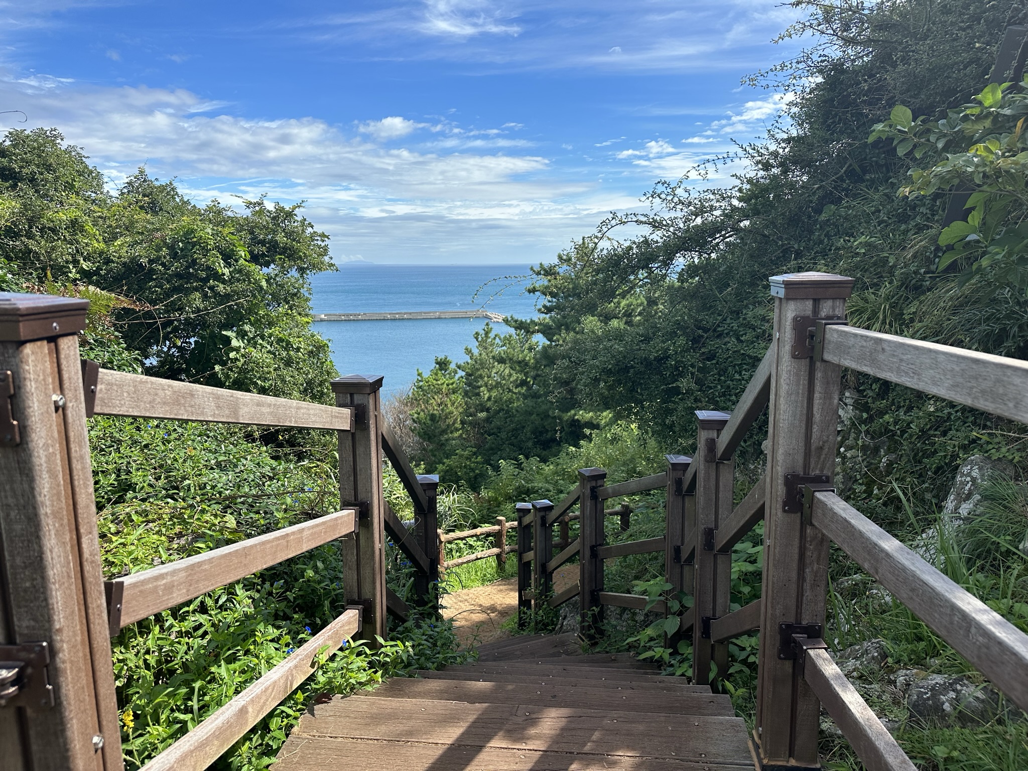 별도봉 산책로