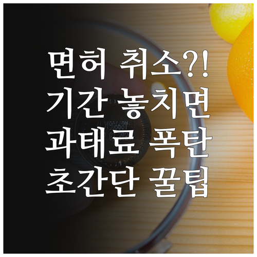운전면허 갱신 기간 놓치면 과태료 면..