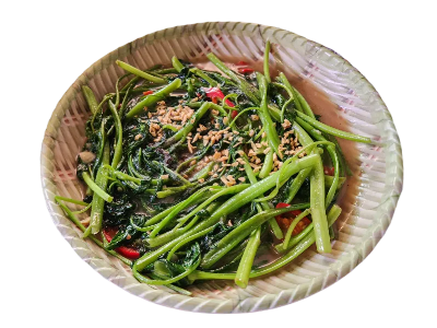 모닝글로리 사진