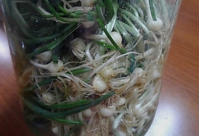불면증에 좋은 달래술