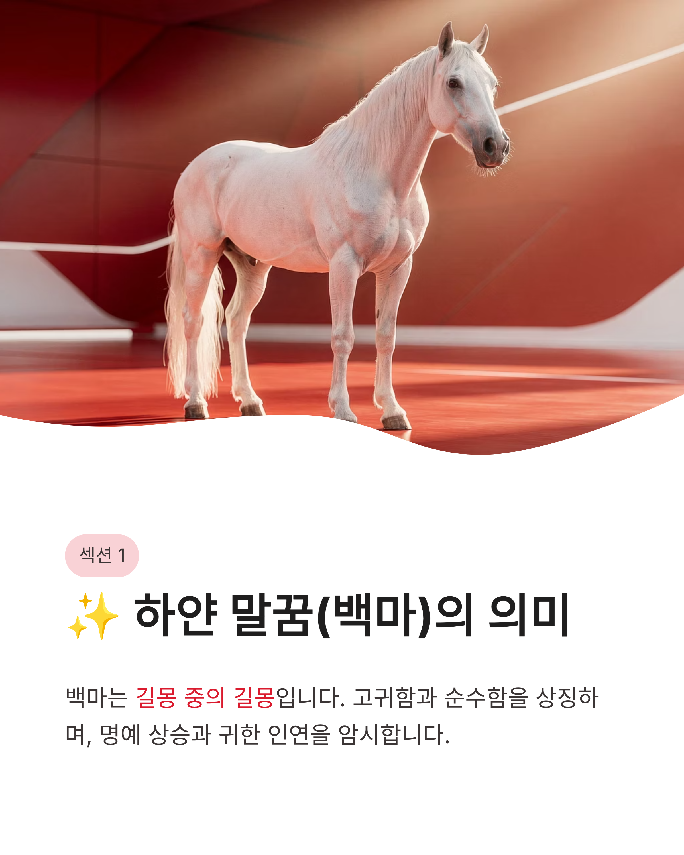 말꿈 해몽 상황별 총정리! 백마 타는 꿈부터 검은 말까지 운세 대박 터지는 신호일까?