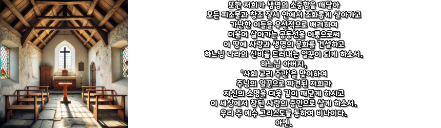 천주교 사회 교리 주간 기도문