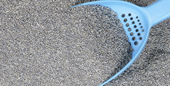 고양이 모래 추천1