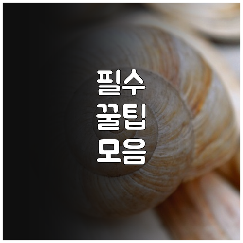 2025 포천시 체육시설 할인 이용료..