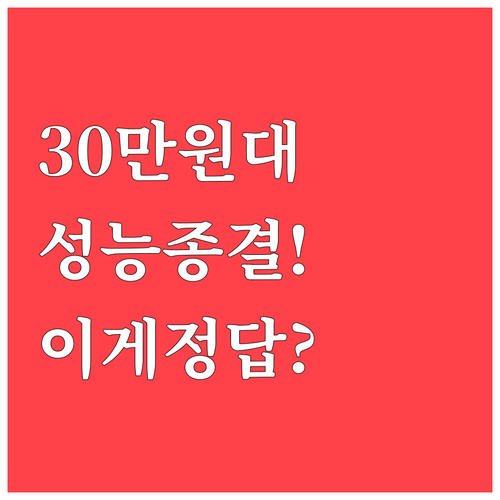 30만원대 공기청정기 가성비와 성능 ..