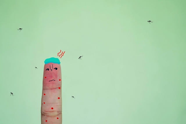 천연모기 퇴치기